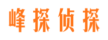 沙坡头侦探